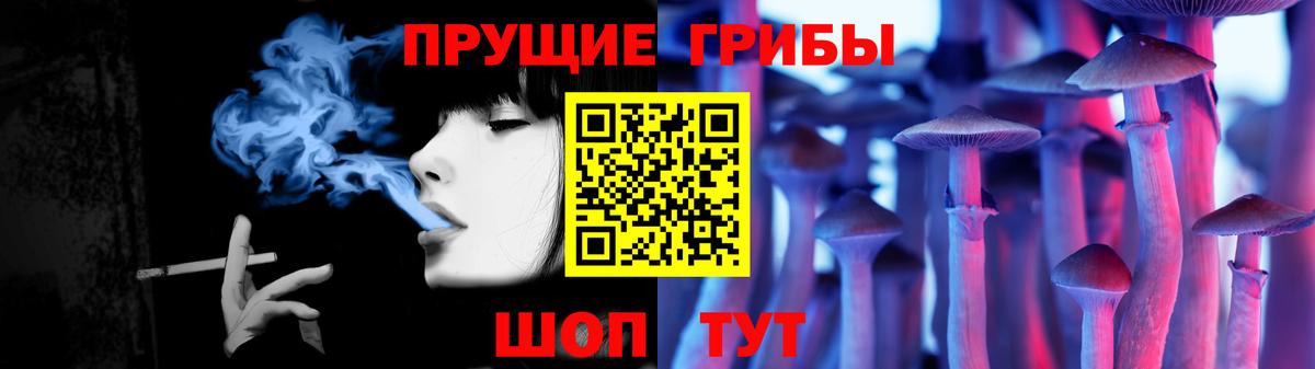 Горно-Алтайск  Псилоцибиновые грибы Psilocybe  Вход с VPN 